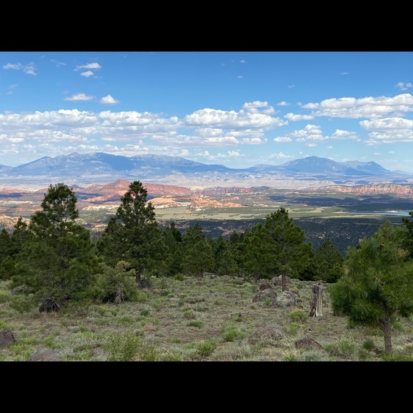 I learn so much checking out other closets! - Picture 4 of 16